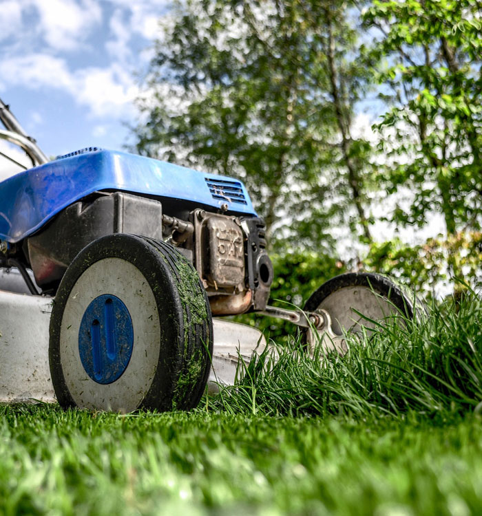 Élagage Giroussens Rabastens